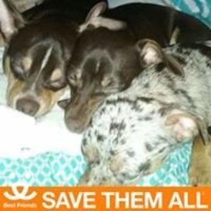 Meet your Posher, Johnnie